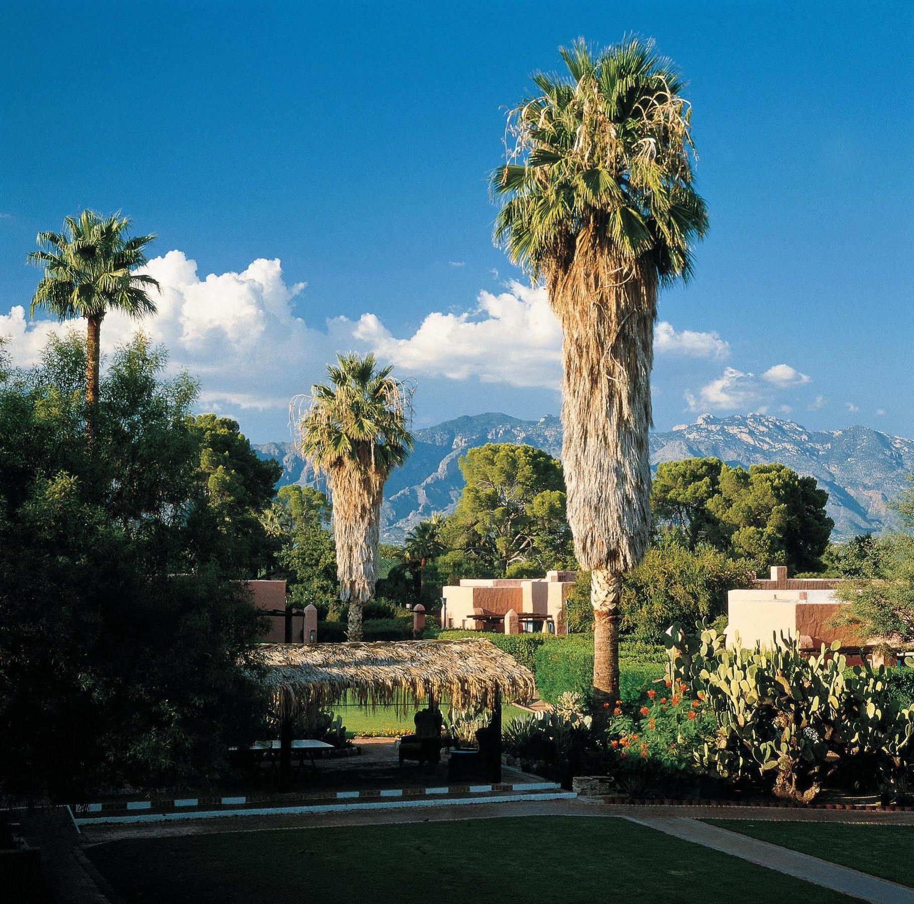 Arizona Inn Tucson Exteriör bild